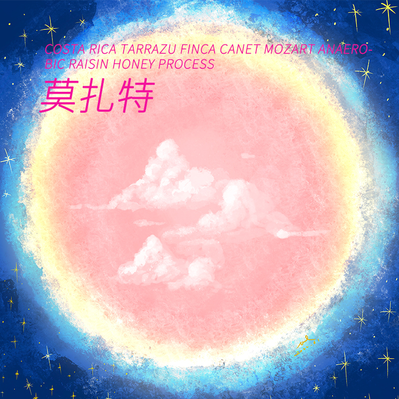 花香明显阿拉比卡茵娜咖啡