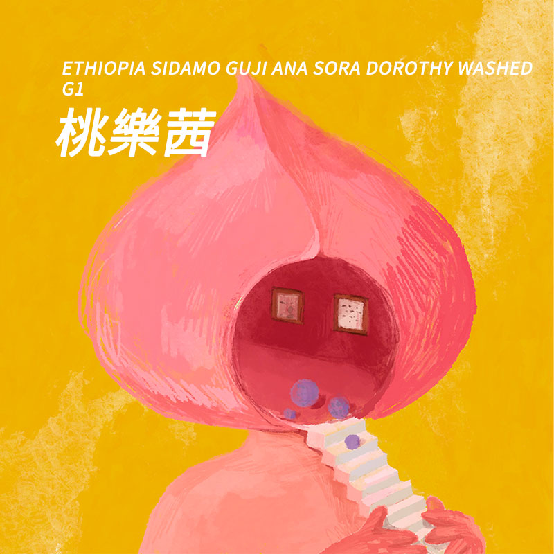 桃乐茜阿拉比卡茵娜咖啡包邮