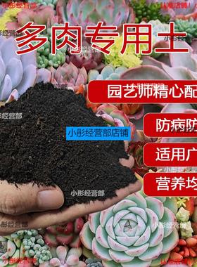 多肉专用土营养土种花土种植土透气有机肥料多肉土养花卉肉肉通用