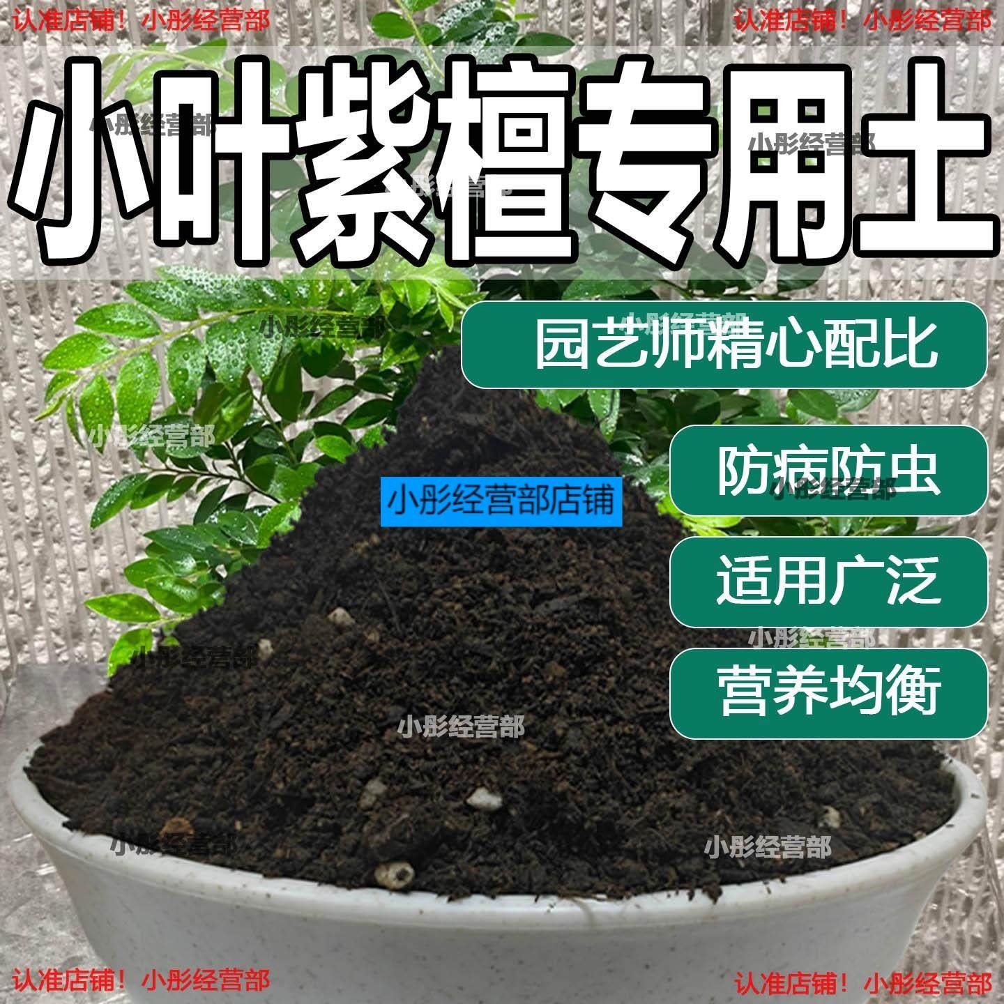 小叶紫檀专用土盆栽配方肥料小叶紫檀营养土透气泥土壤养花种植土