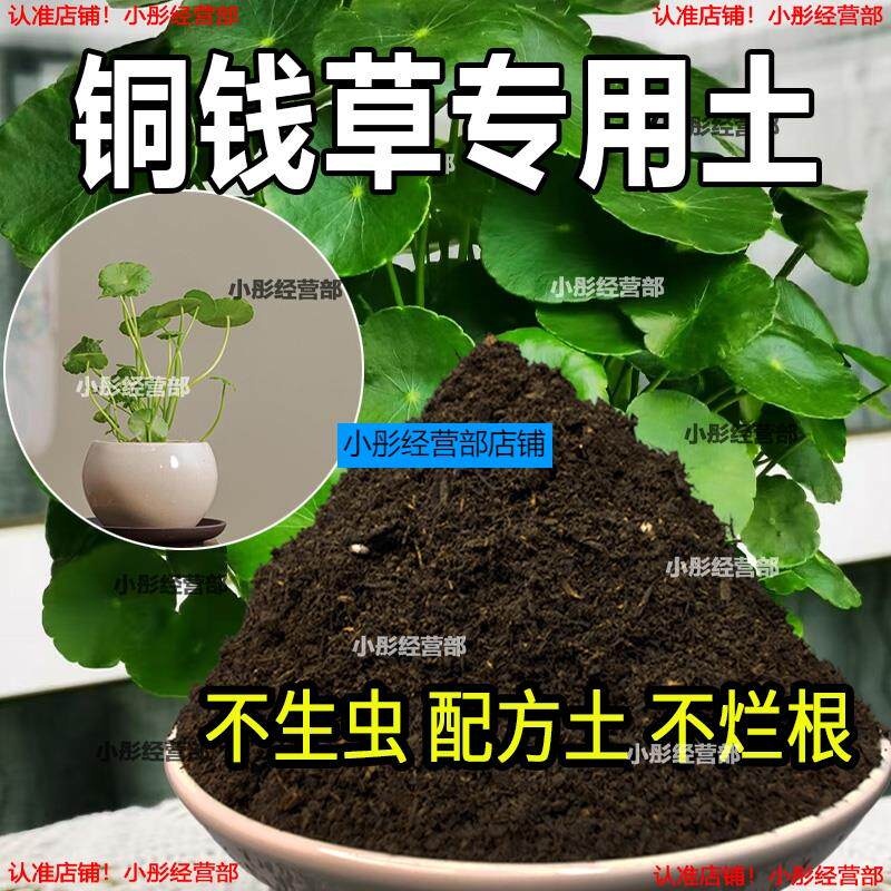 铜钱草植物土家庭盆栽养花土通用铜钱草营养土绿植种植土有机肥料