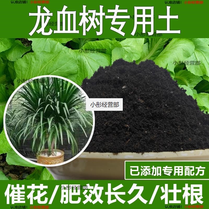 龙血树专用土龙血树专用营养土酸性土种植土通用土有机土肥料土壤