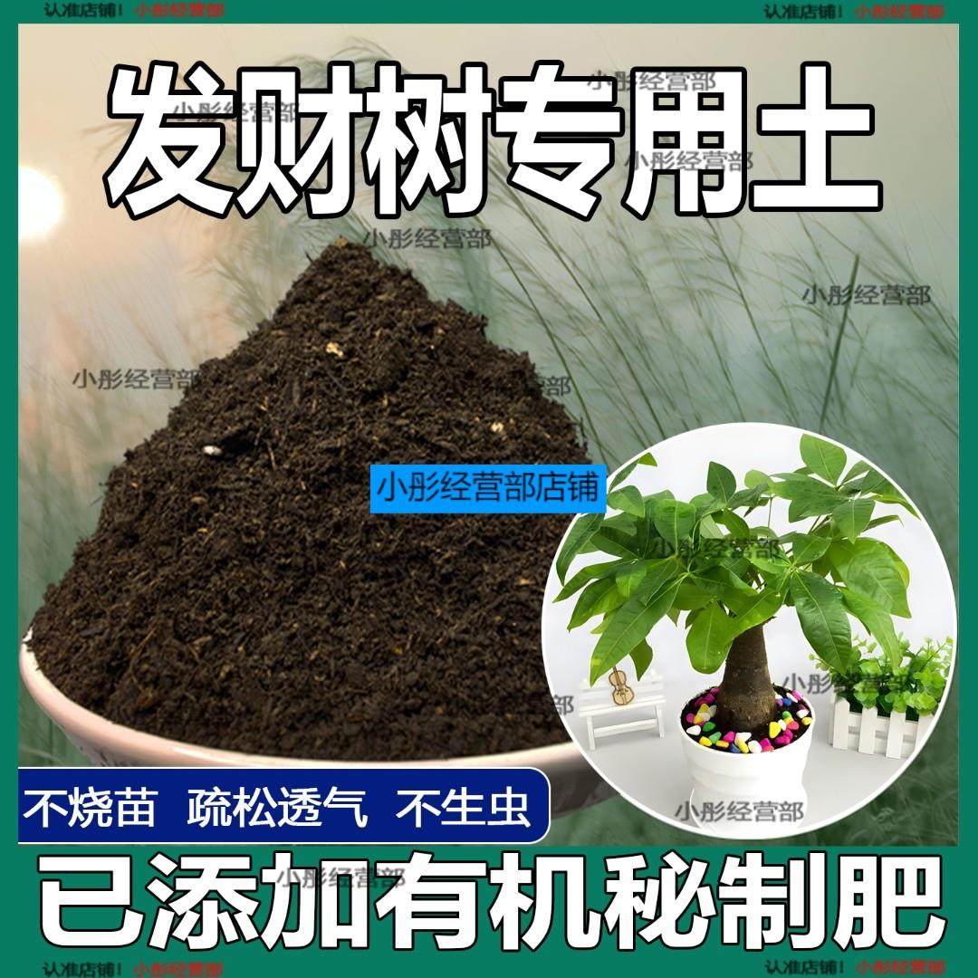 发财树专用土发财树营养土盆栽花卉酸性土养花通用型家用种植土壤
