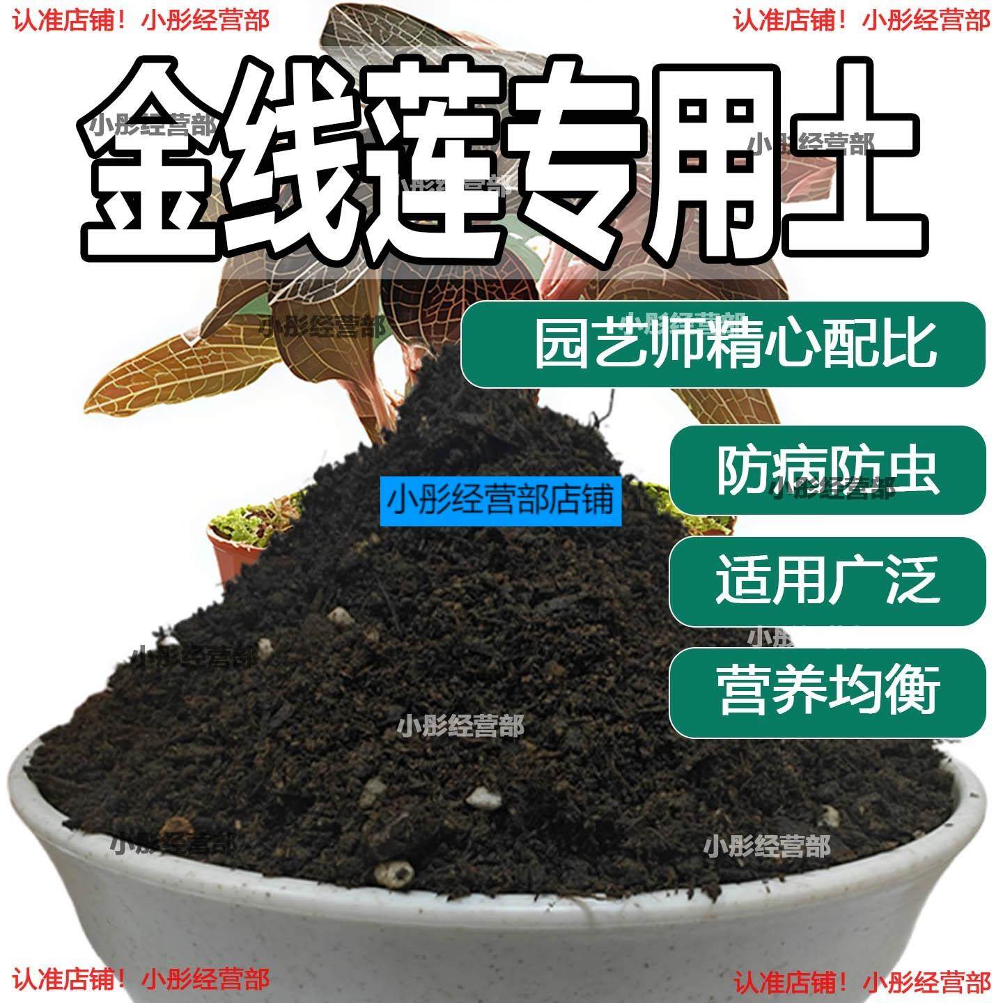 金线莲专用土金线莲专用营养土盆栽土养花种花土通用种植土壤肥料