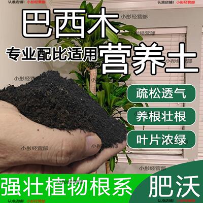 巴西木专用土巴西木土盆栽花泥土营养土透气通用种植土壤养花种花