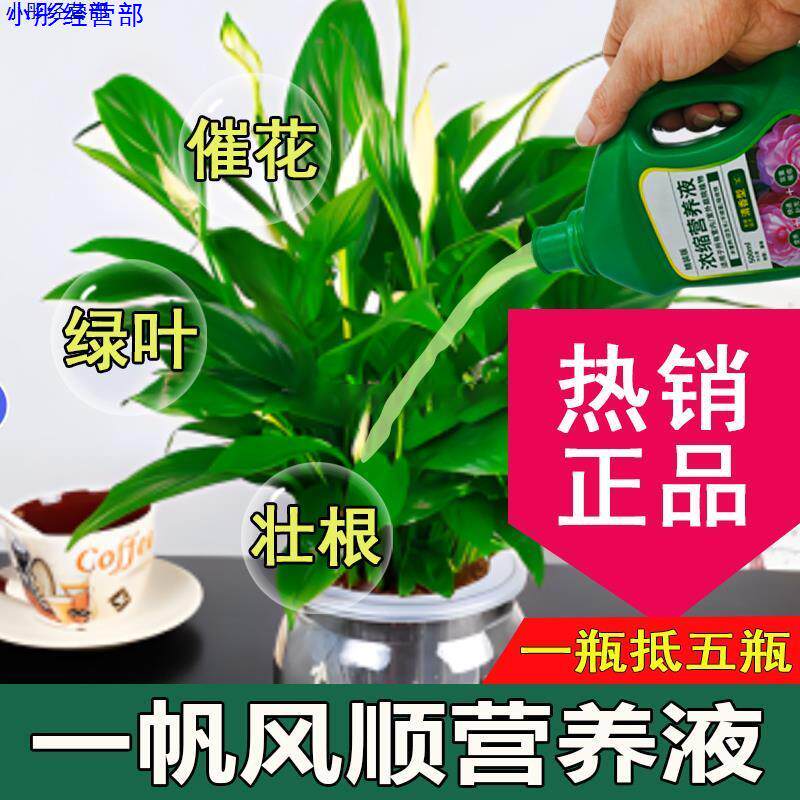 一帆风顺营养液通用型一帆风顺专用营养液花肥绿植水培花卉绿植肥