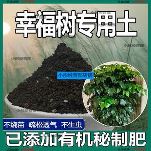幸福树营养土花卉绿植盆栽种植土花土疏松透气肥沃砂质土壤专用土