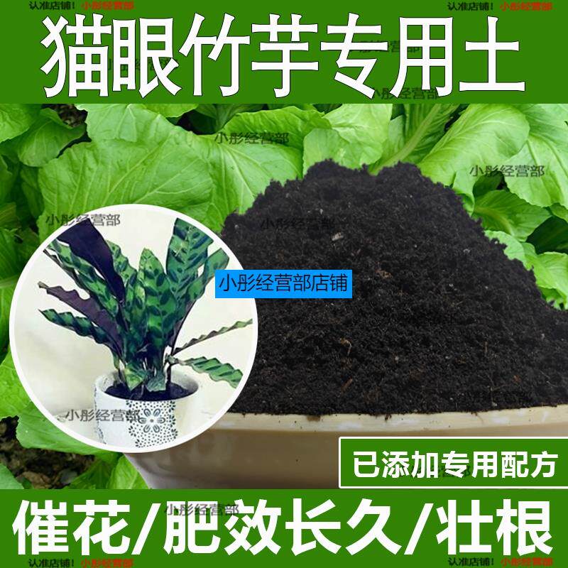 猫眼竹芋专用土猫眼竹芋专用营养土酸性土种植土通用土有机土肥料