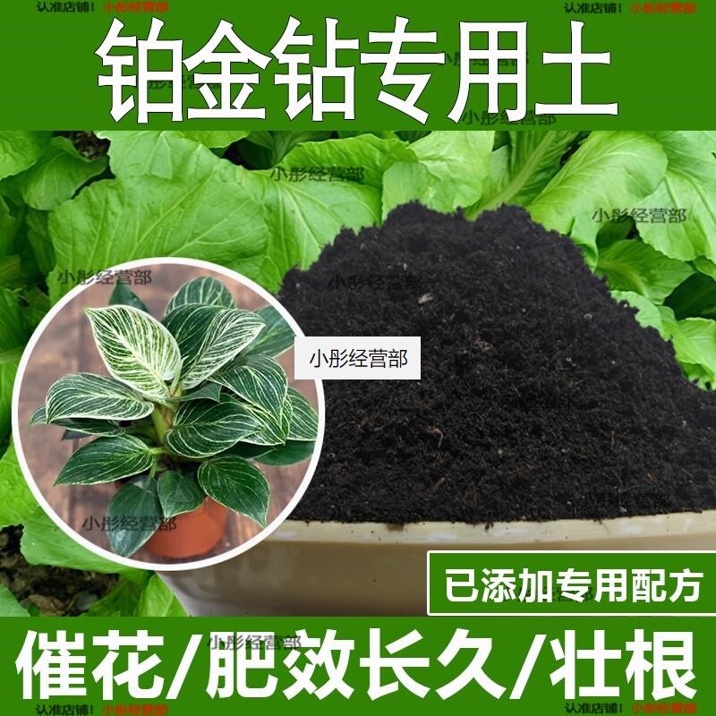 铂金钻专用土铂金钻专用营养土酸性土种植土通用土有机土肥料土壤