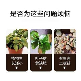 人参专用土人参专用营养土家庭种植土养花土通用型种花土有机肥料