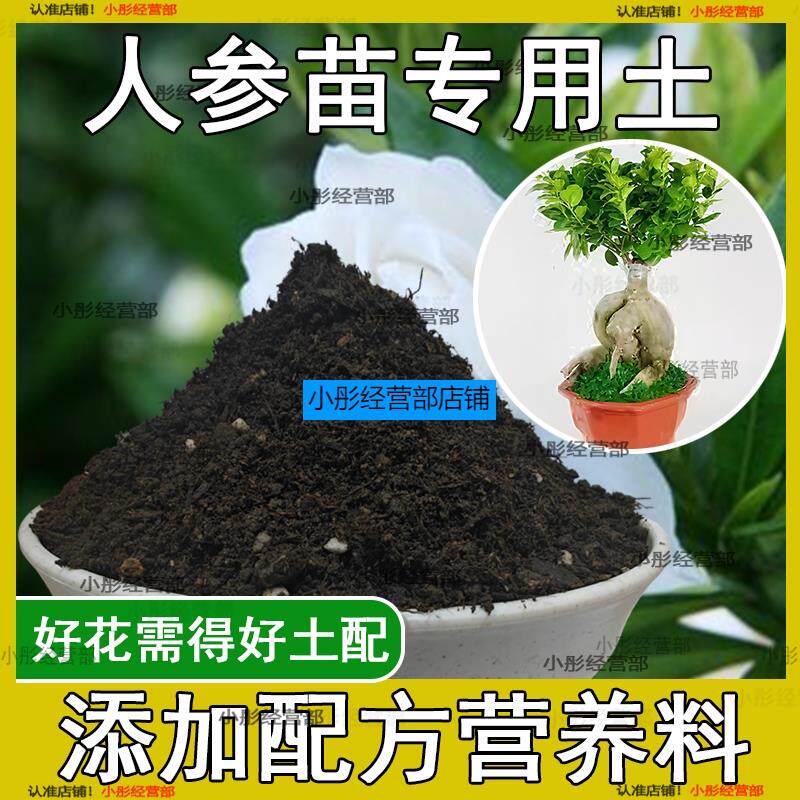 人参苗专用土人参苗土种植土壤营养土盆栽种花泥土透气通用养花土