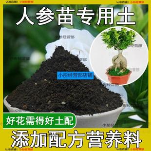 人参苗专用土人参苗土种植土壤营养土盆栽种花泥土透气通用养花土