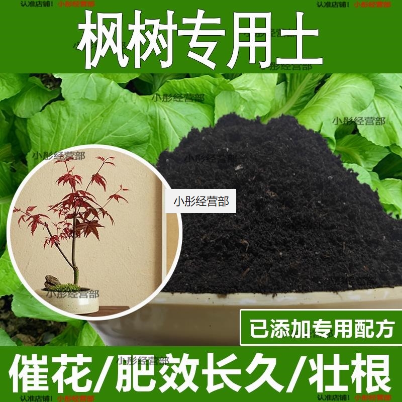 枫树专用土枫树专用营养土酸性土种植土通用土有机土肥料养花种花