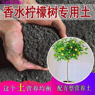 香水柠檬树专用土香水柠檬树专用营养土养花家用种植土绿植酸性