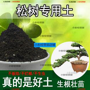 松树专用土五针松罗汉松黑松黄山松营养肥土营养土酸性土壤盆景土