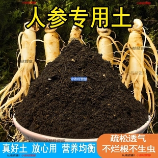 人参专用土人参苗土种植酸性土壤营养土盆栽种花泥土透气养花土