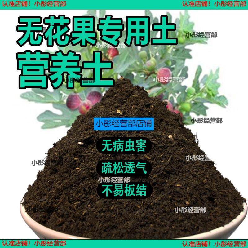 无花果专用土盆栽营养土果树专用土无花果营养土壤种植土有机肥料