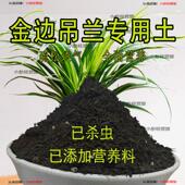 金边吊兰专用土吊兰土盆栽营养土通用种花养花泥土壤种植土有机肥