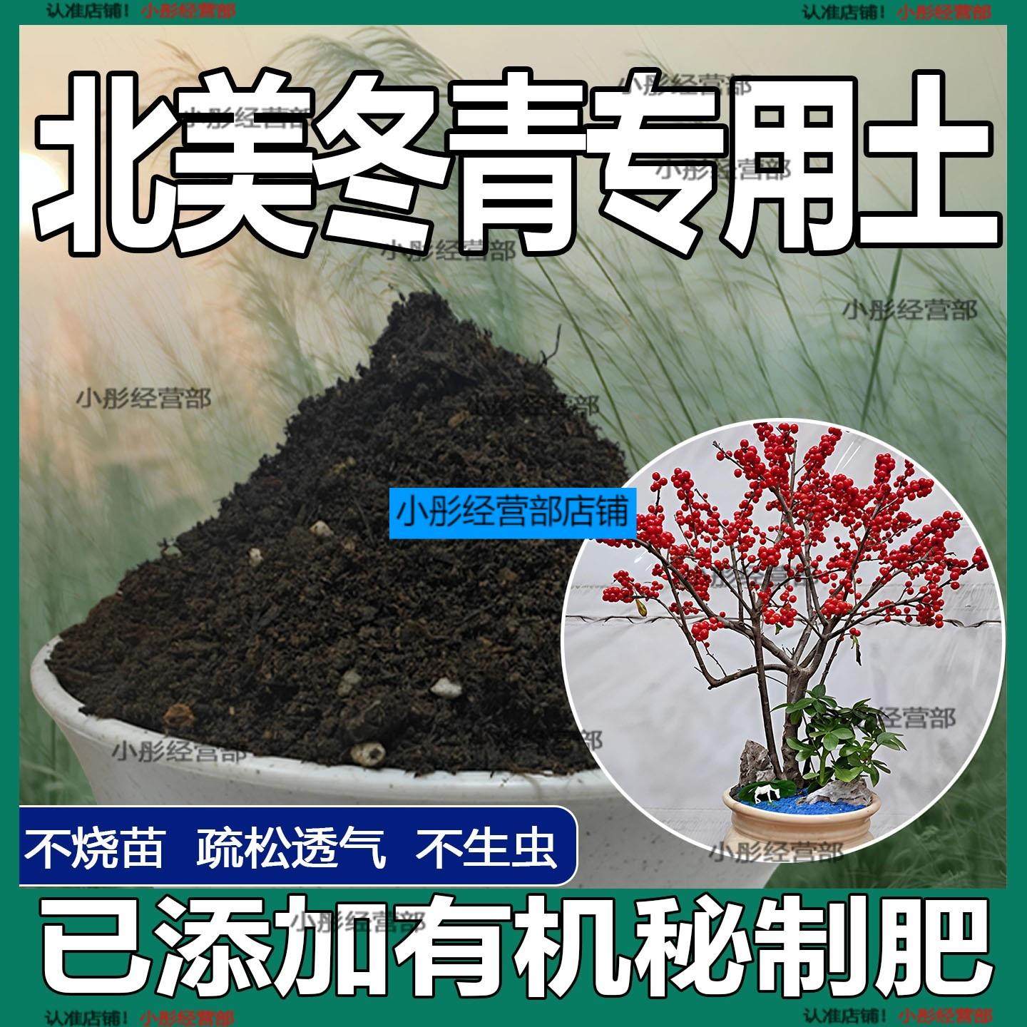 北美冬青专用土北美冬青营养土家用种植土壤家庭盆栽种花花有机土