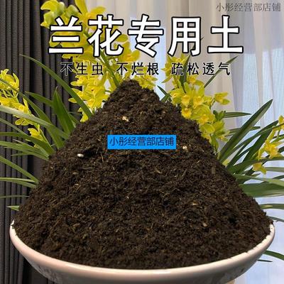 兰花专用营养土兰花专用土通用型盆栽花土种花好货兰科种植土壤