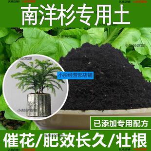 南洋杉专用土南洋杉专用营养土酸性土种植土通用土有机土肥料土壤