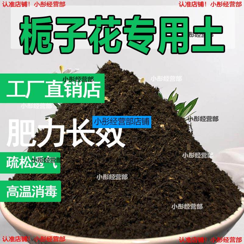 栀子花专用土栀子花专用营养土家庭种植土养花土通用型种花土肥料
