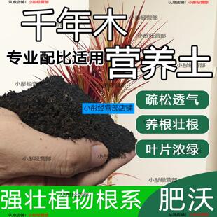 千年木专用土肥料盆栽土壤园艺养花育苗花土阳台千年木营养土蓬松
