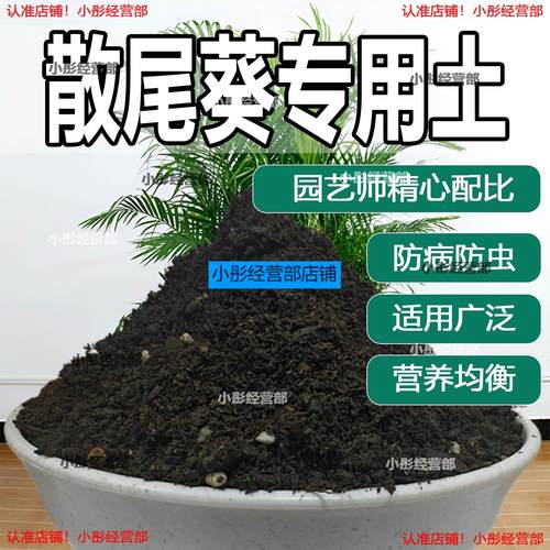散尾葵专用土家庭盆栽土肥料种花泥土散尾葵营养土专用绿植种植土