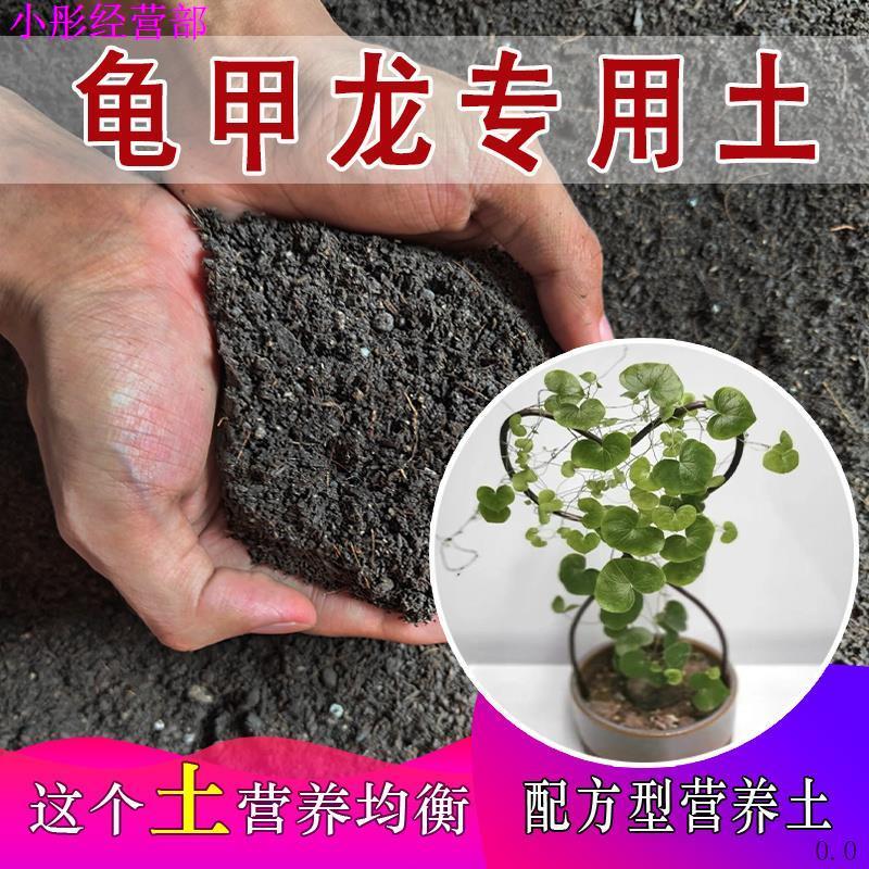 龟甲龙专用土龟甲龙专用营养土盆栽土养花种花土通用种植土壤肥料