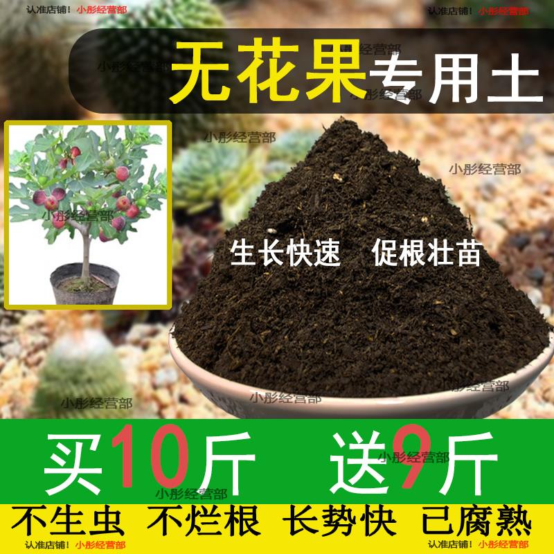 无花果专用土盆栽营养土果树专用土无花果营养土壤种植土有机肥料