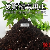 发财树轻质土通用型营养土疏松透气种菜土轻质养花土壤有机土