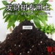 发财树轻质土通用型营养土疏松透气种菜土轻质养花土壤有机土