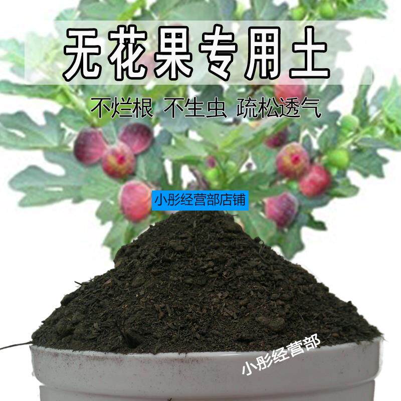 无花果专用土盆栽营养土果树专用土无花果营养土壤种植土有机肥料