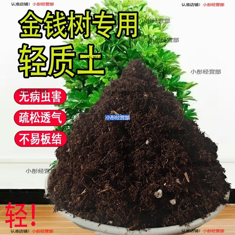 金钱树轻质育苗蓬松盆栽营养土通用专用种菜养花土壤种植土
