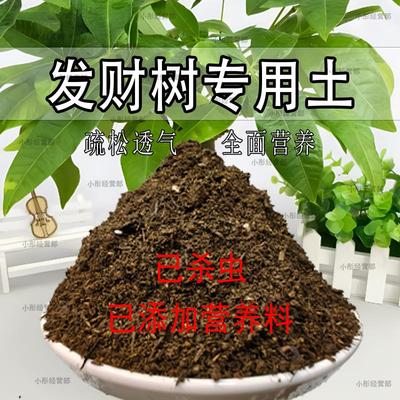 发财树专用土发财树营养土盆栽花卉酸性土养花通用型家用种植土壤