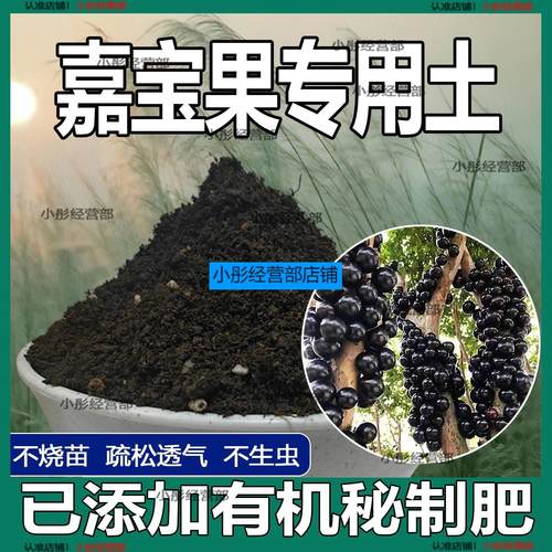 嘉宝果专用土家用植物种植土壤嘉宝果营养土农业果树泥土有机土