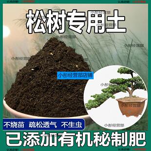松树专用土五针松罗汉松黑松黄山松营养肥土营养土酸性土壤盆景土
