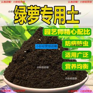 绿萝专用土绿萝专用营养土养花通用型家用种植土绿植有机土壤肥料