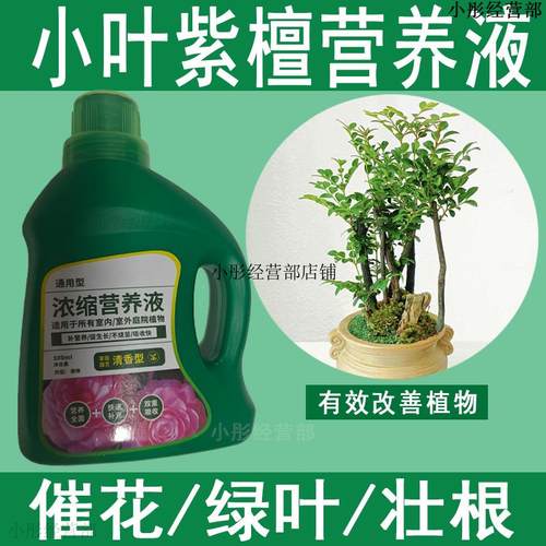 小叶紫檀叶子发黄干枯掉叶专用营养液盆景黄叶发黑肥料盆栽花肥料