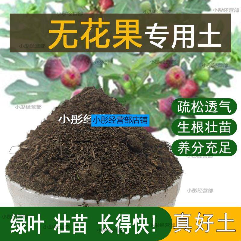 无花果专用土盆栽营养土果树专用土无花果营养土壤种植土有机肥料