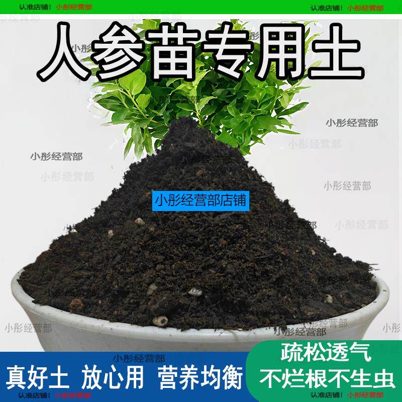 人参苗专用土人参苗土种植土壤营养土盆栽种花泥土透气通用养花土
