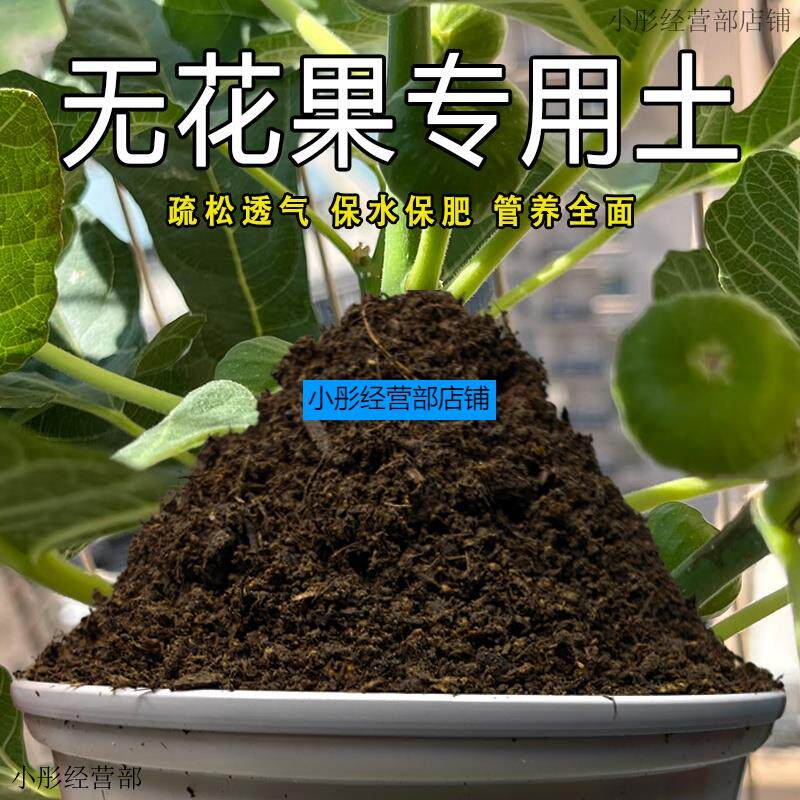 无花果专用土果树盆栽无花果营养土沙质土壤养花土绿植肥料种植土