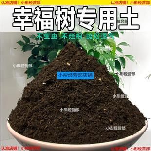 幸福树营养土花卉绿植盆栽种植土花土疏松透气肥沃砂质土壤专用土