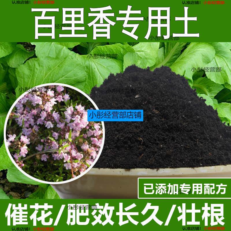 百里香专用土百里香专用营养土酸性土种植土通用土有机土肥料土壤