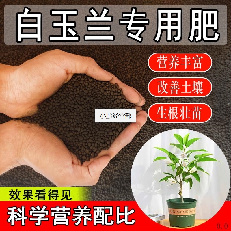 白兰花专用肥料盆栽种植养花白玉兰肥料种花有机复合缓释颗粒肥料