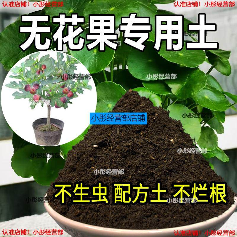 无花果专用土盆栽营养土果树专用土无花果营养土壤种植土有机肥料