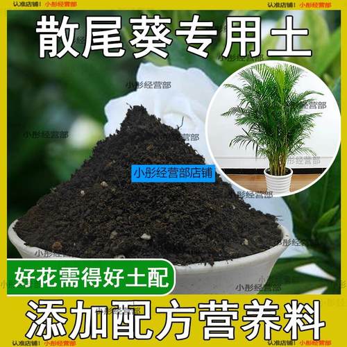 散尾葵专用土家庭盆栽土肥料种花泥土散尾葵营养土专用绿植种植土