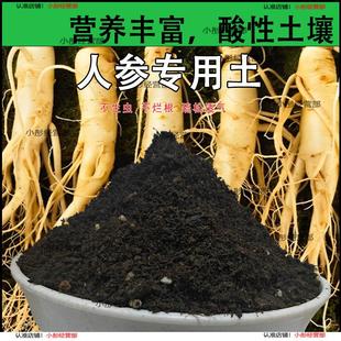 人参专用土人参专用营养土家庭种植土养花土通用型种花土有机肥料