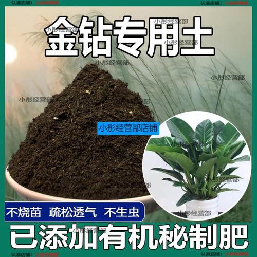 金钻专用土金钻专用营养土盆栽养花绿植种植土肥料通用种花土培