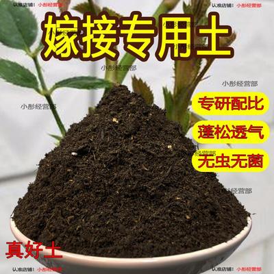 嫁接专用土育苗营养土种植水果嫁接配料透气有机肥料基质腐殖泥土